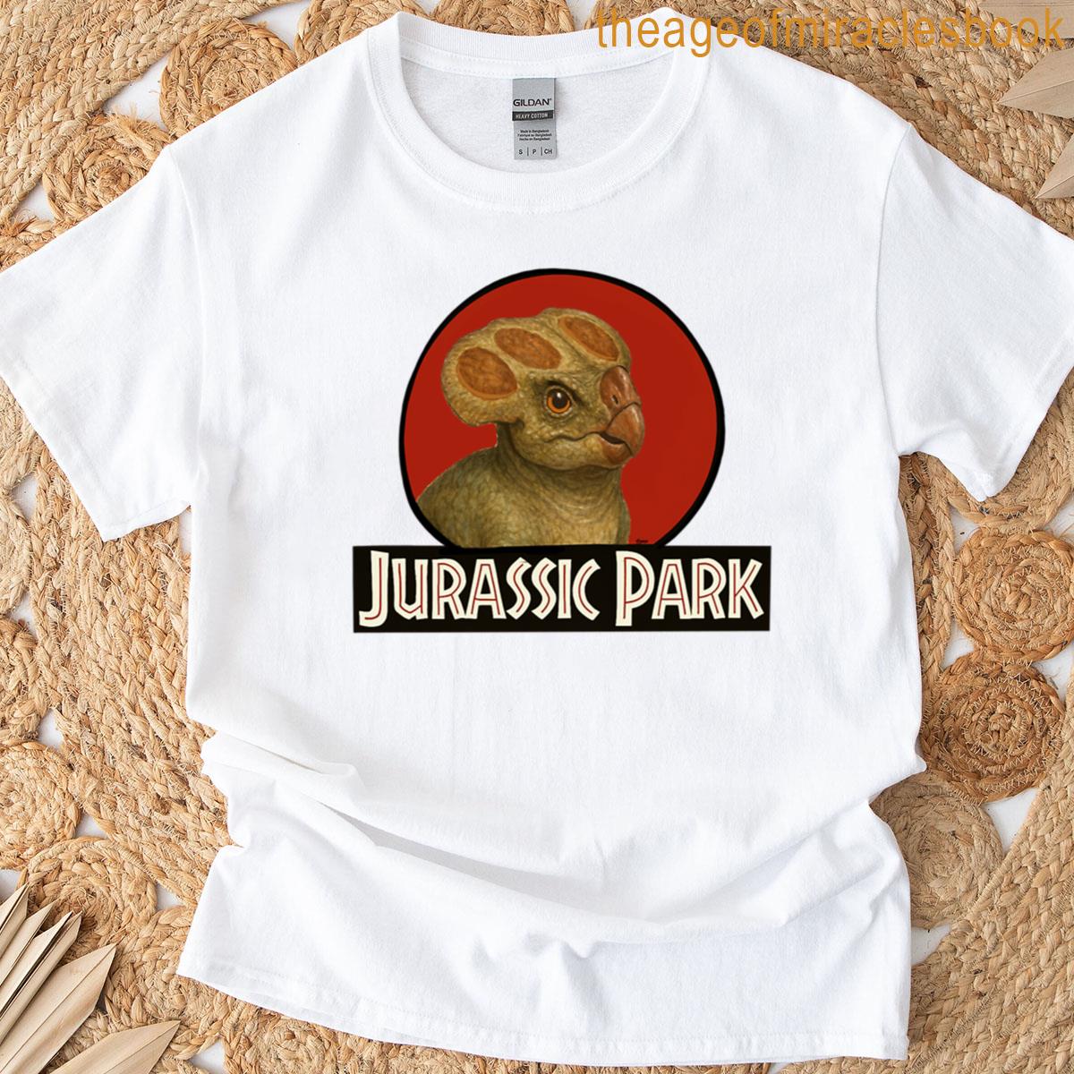 Dolores Park Oversized T-shirt