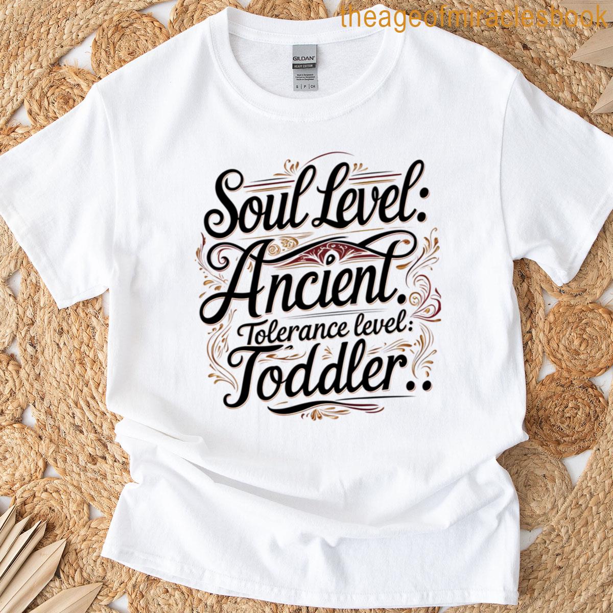 Soul Level Ancient Tolerance Level Toddler T-shirt