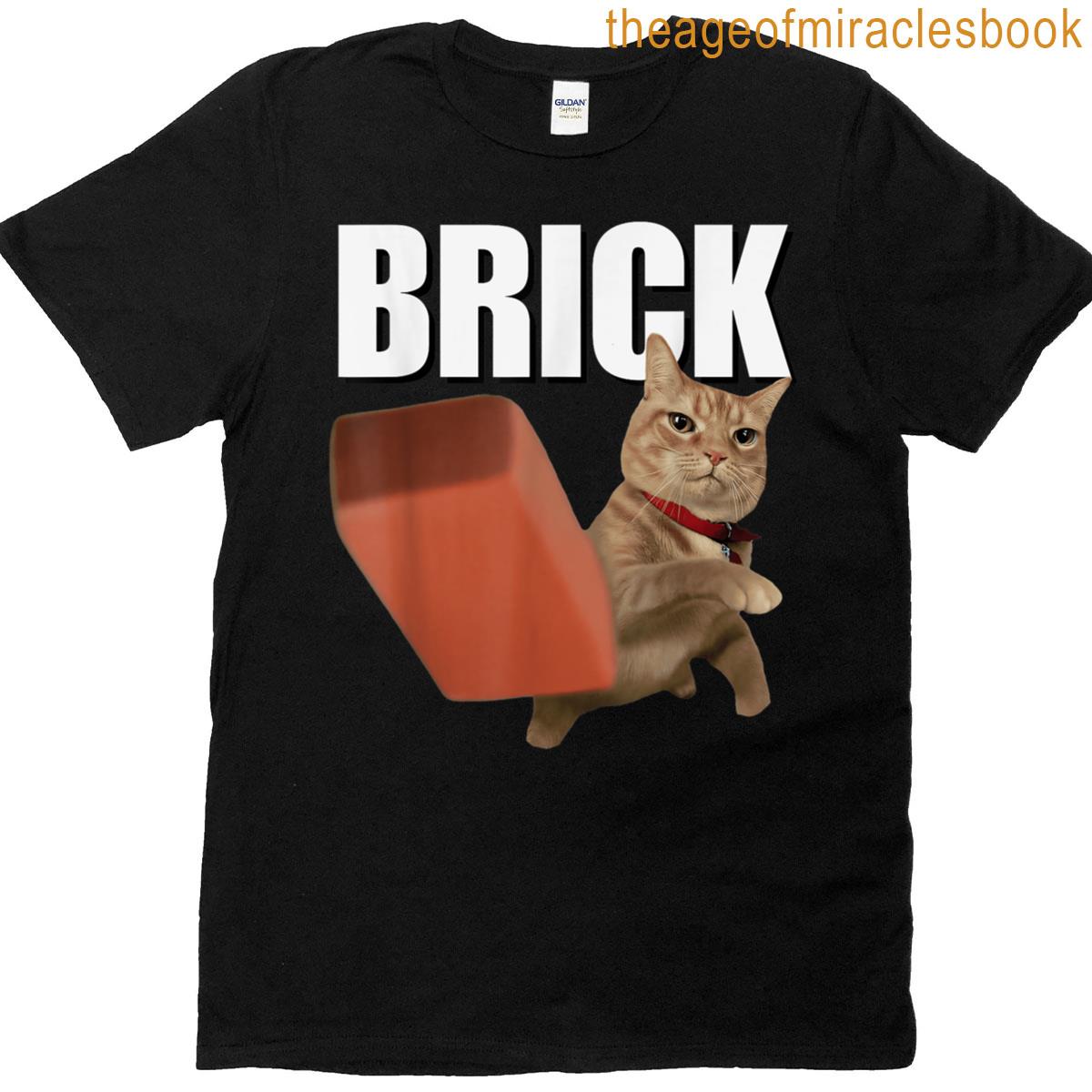 Funny Cat Throwing Brick Cat Silly Meme T-shirt
