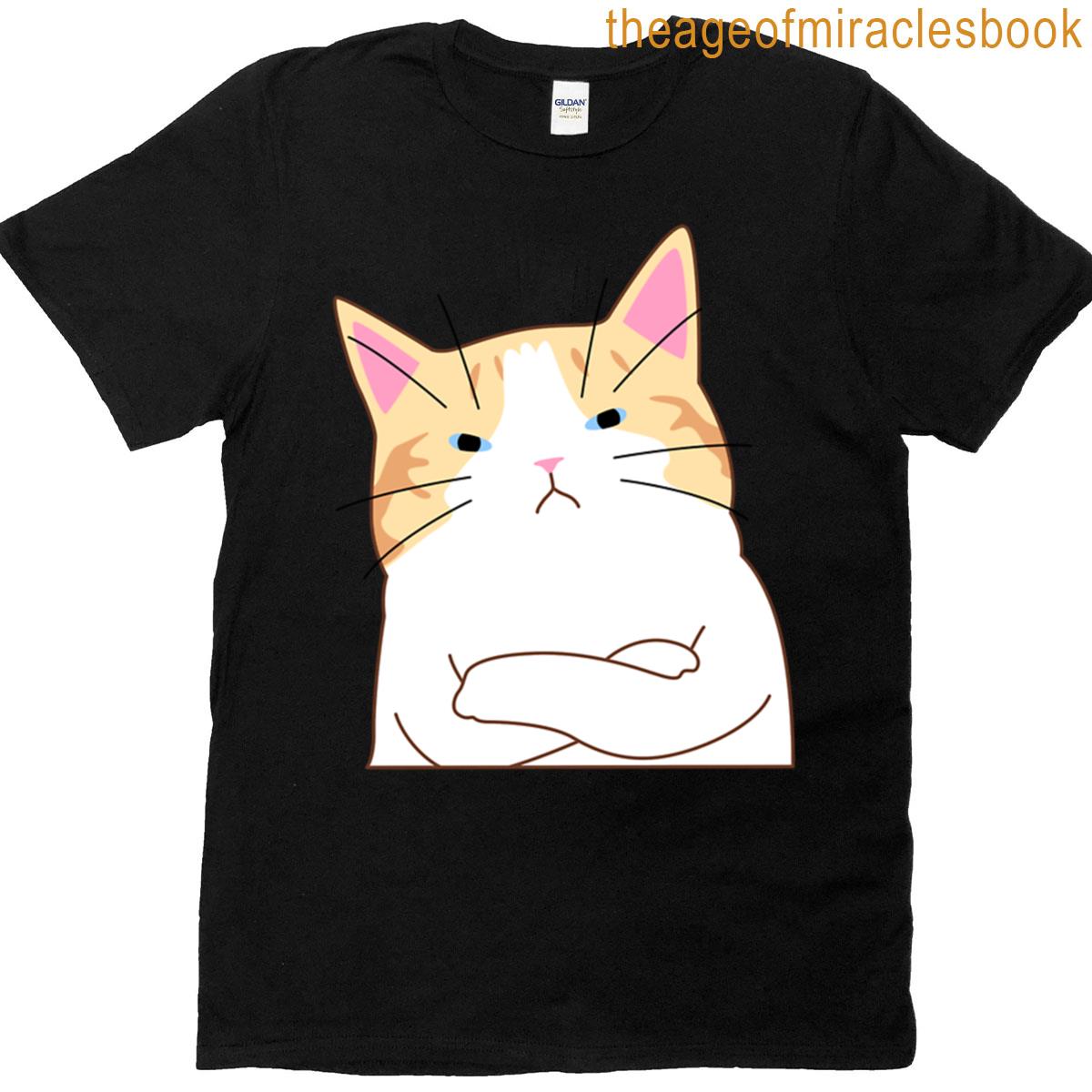 Grumpy Orange Cat With Arms Crossed T-shirt