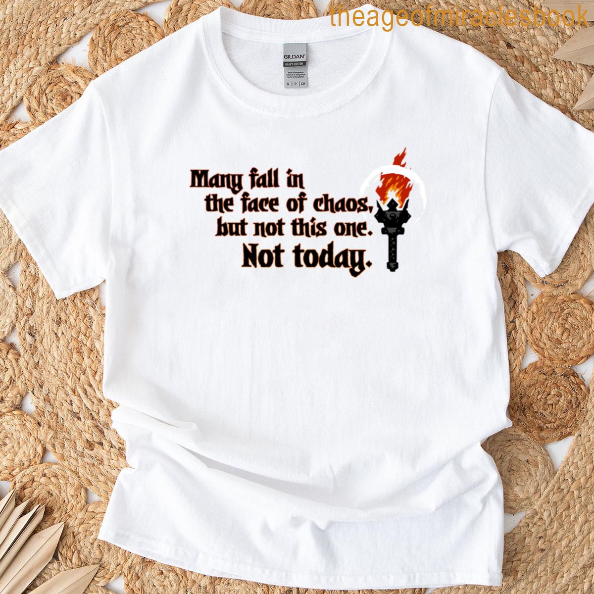 Darkest Dungeon T-shirt