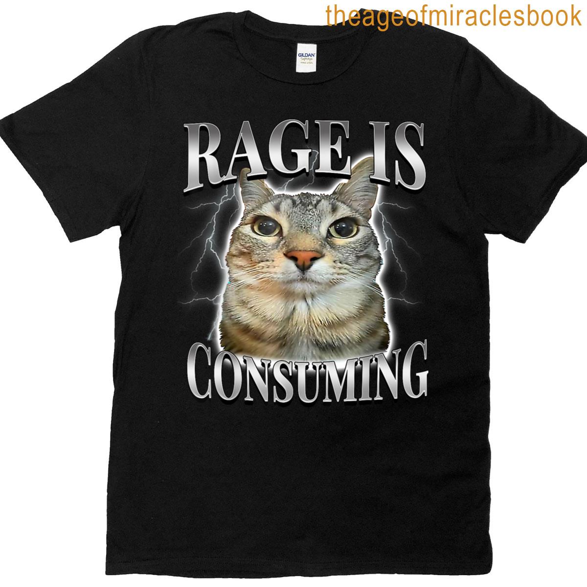 Rage Is Consuming Me Silly Staring Cat Meme T-shirt