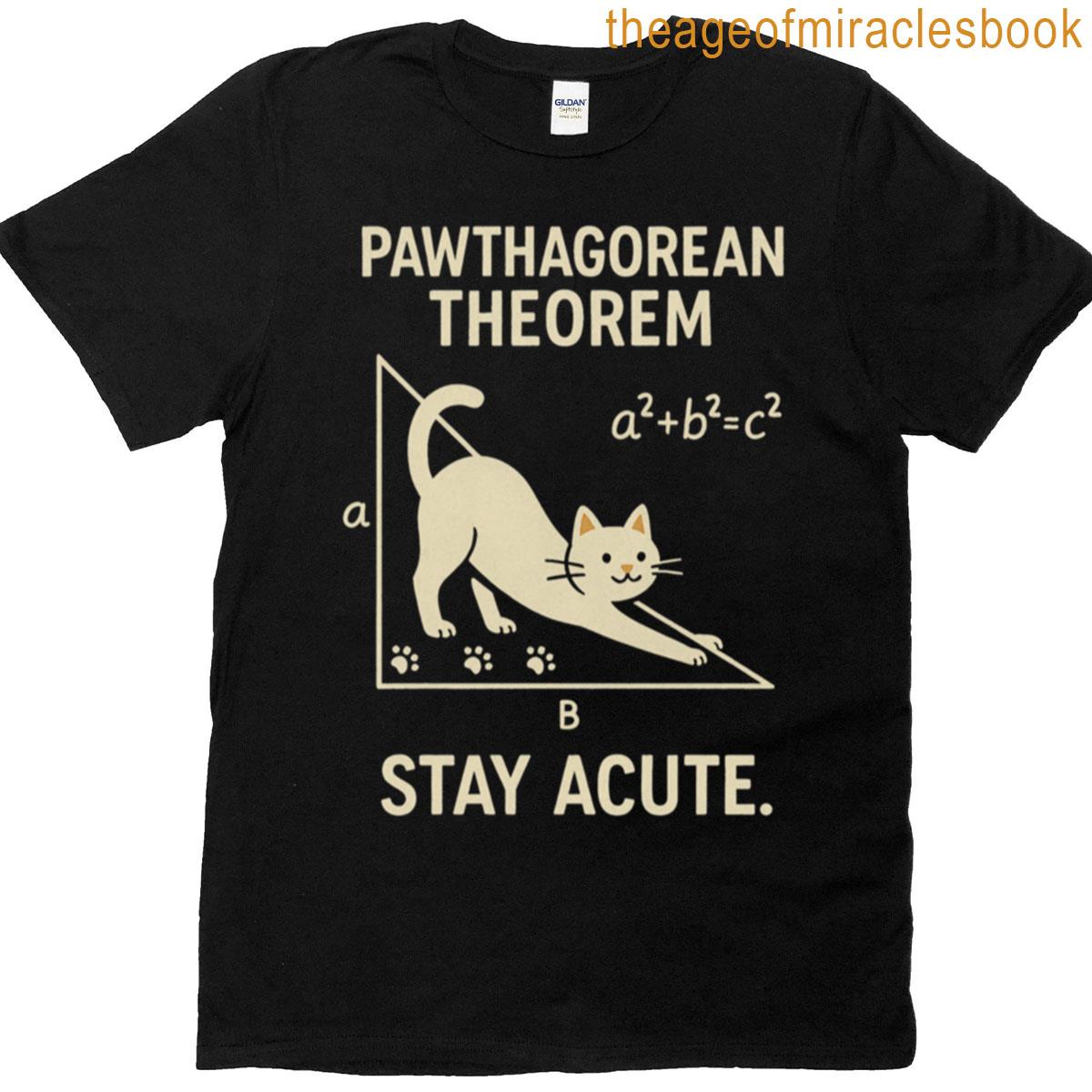 Pawthagorean Theorem Math Cat Triangle T-shirt