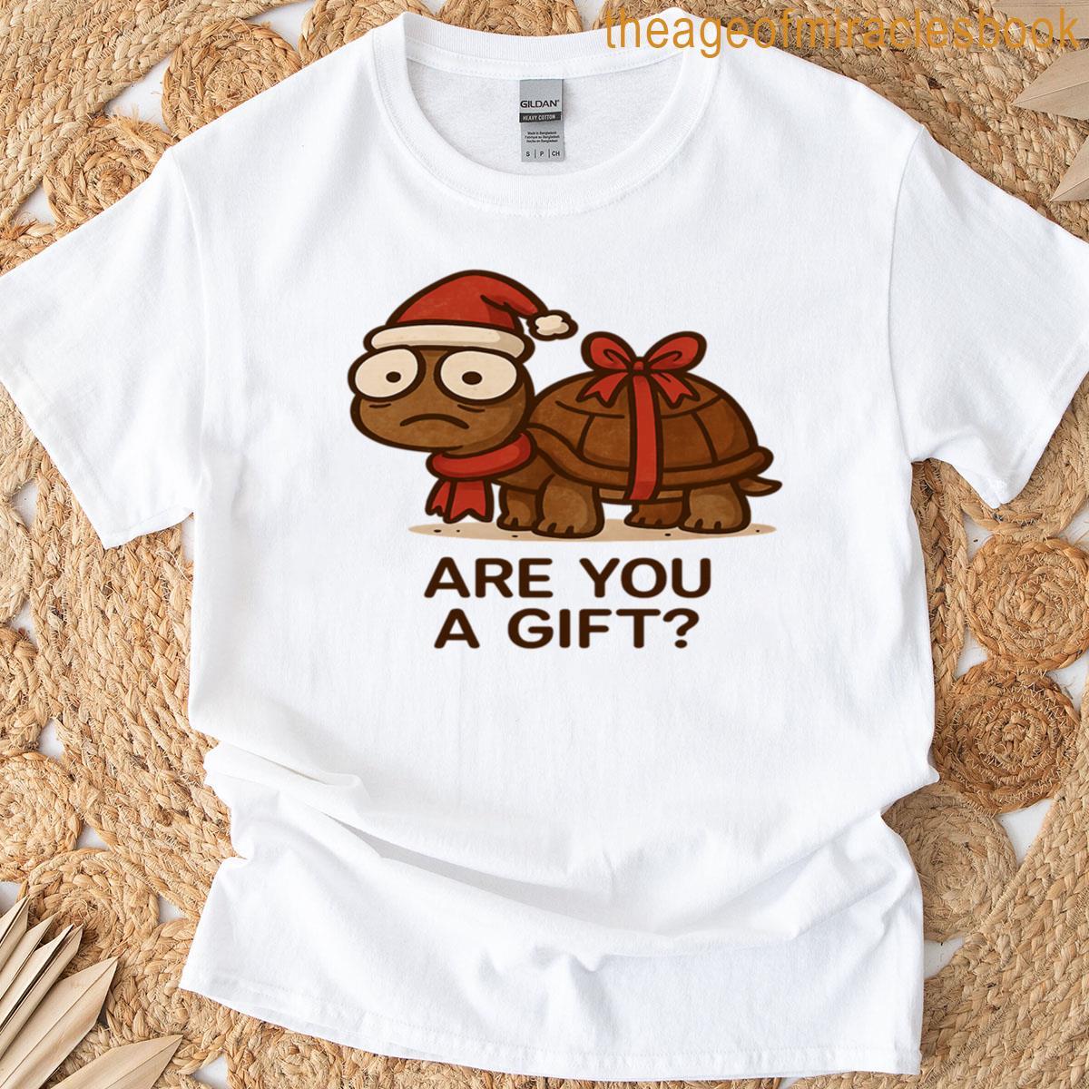 Derpy Turtle Are You A Gift T-shirt