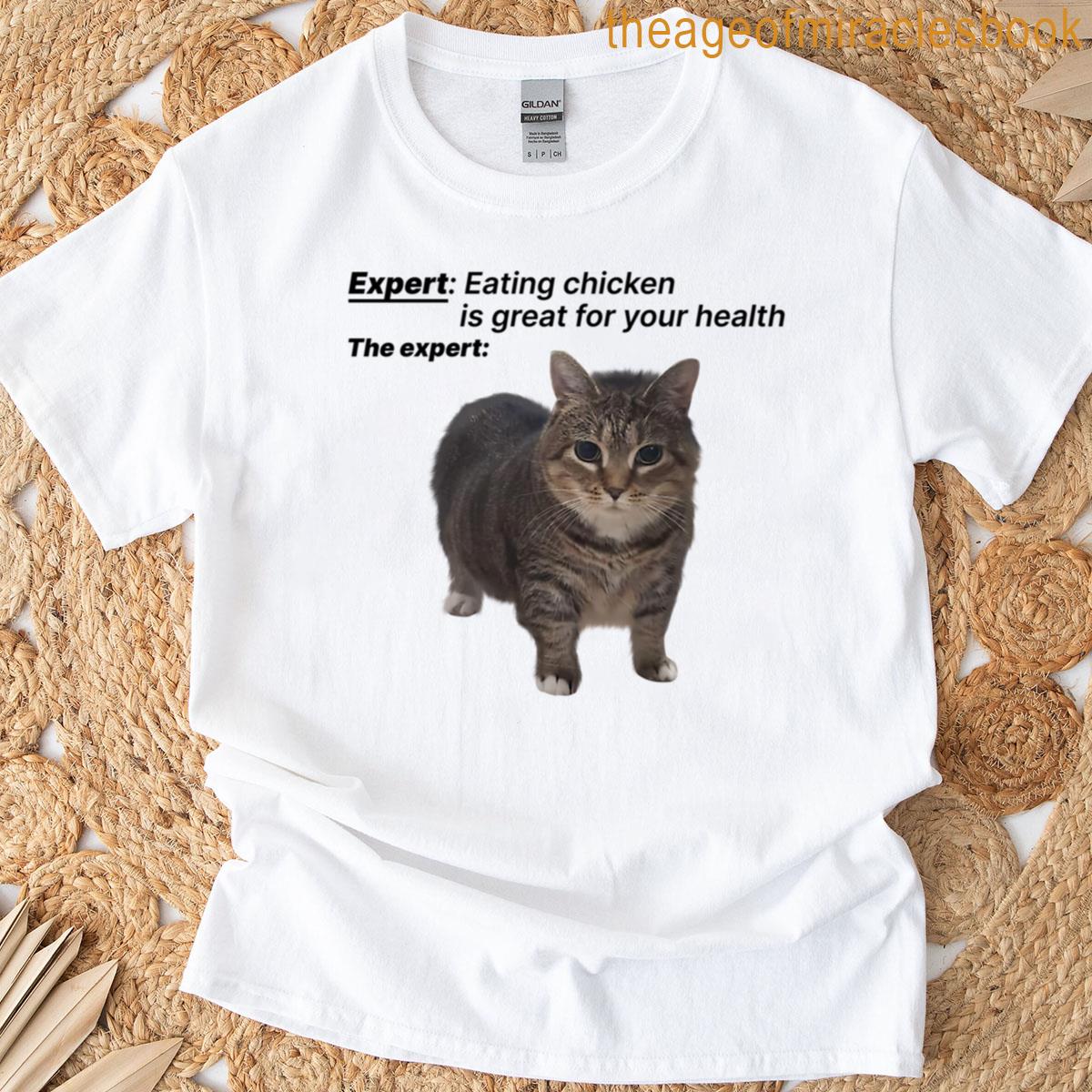 Funny Meme Uia Cat Expert Oversized T-shirt