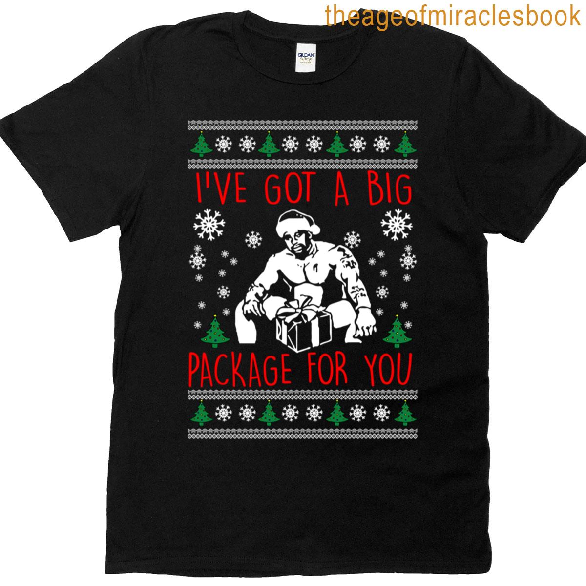 Ive Got A Big Package For You Christmas Design T-shirt