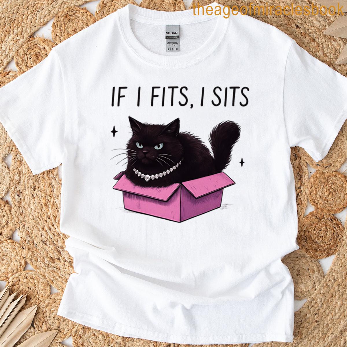 If I Fits I Sits T-shirt