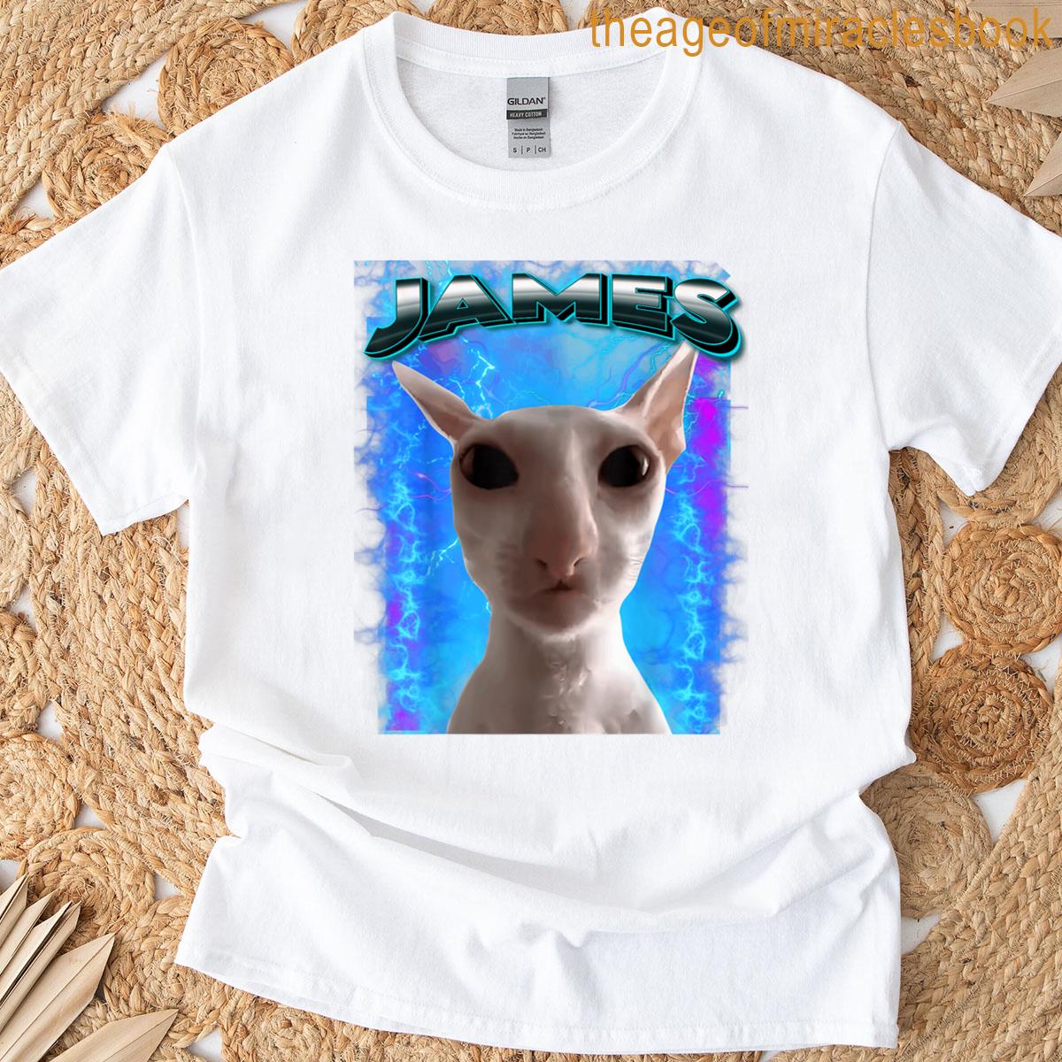 James Cat Meme Cursed Memes Brainrot Memes Oddly Specific T-shirt
