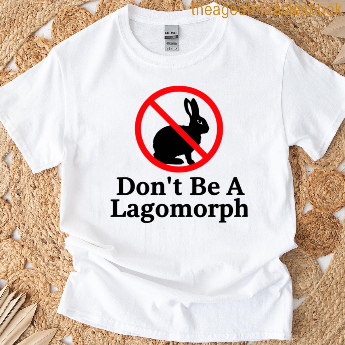 Lagomorph Boxy T-shirt