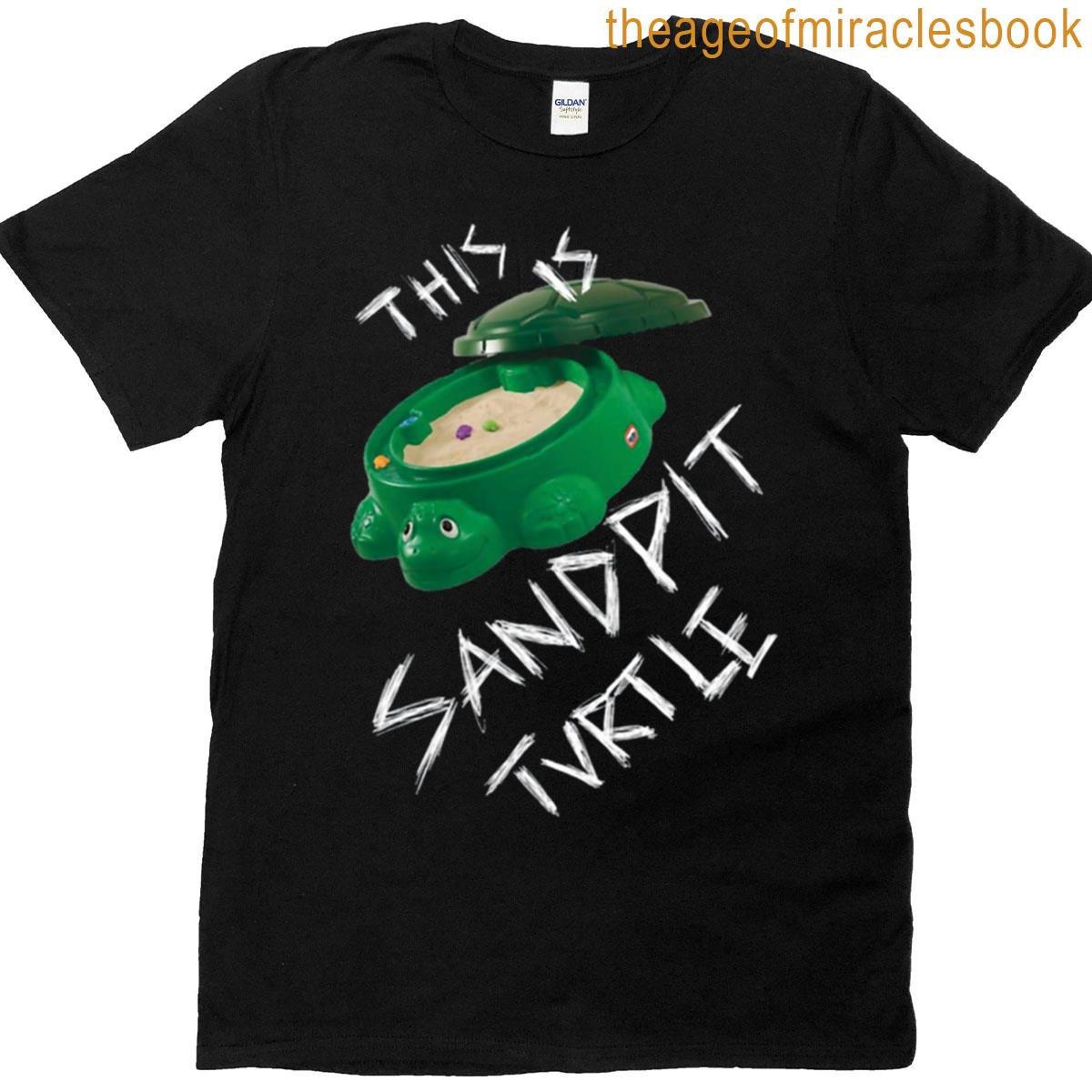 This Is Sandpit Turtle Bmth Meme T-shirt