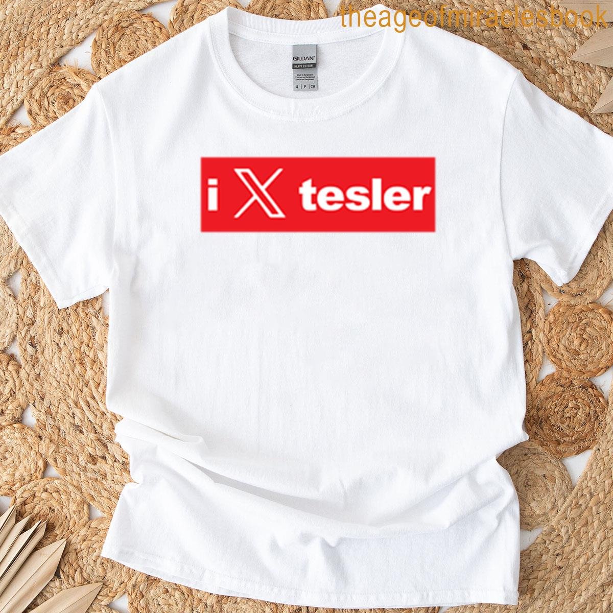 I X Tesler Oversized T-shirt