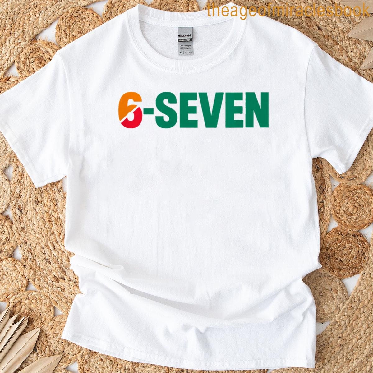 6-seven Funny 67 Logo Premium Tri-blend T-shirt