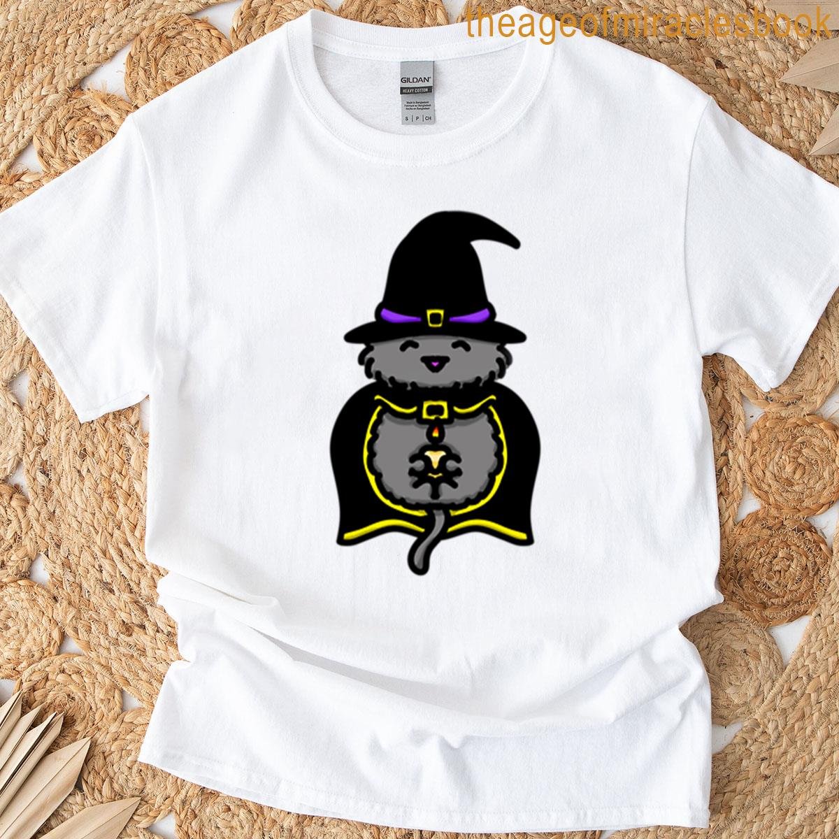 Cozy Gray Lightkeeper Witch Cat T-shirt
