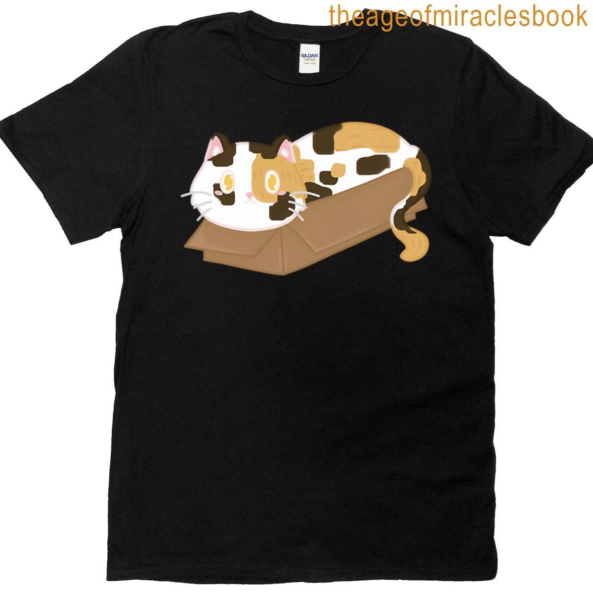 Kitty On A Box T-shirt