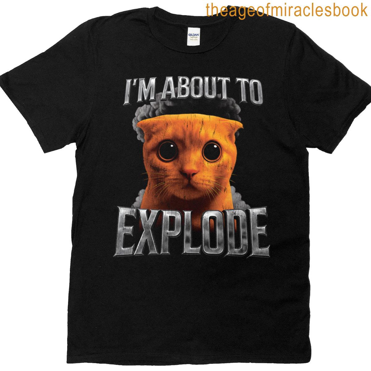 Exploding Cat Meme Im About To Explode Funny Oversized T-shirt