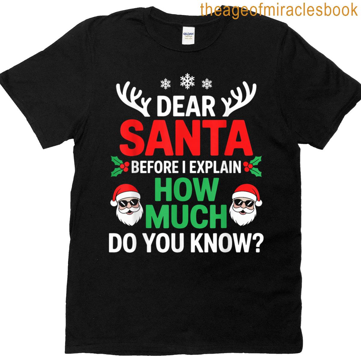 Dear Santa Before I Explain How Much Do You Know T-shirt