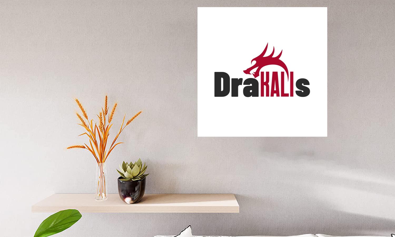 Alternative view of Cybersecurity Kali Linux Drakalis Canvas Print Canvas, Poster