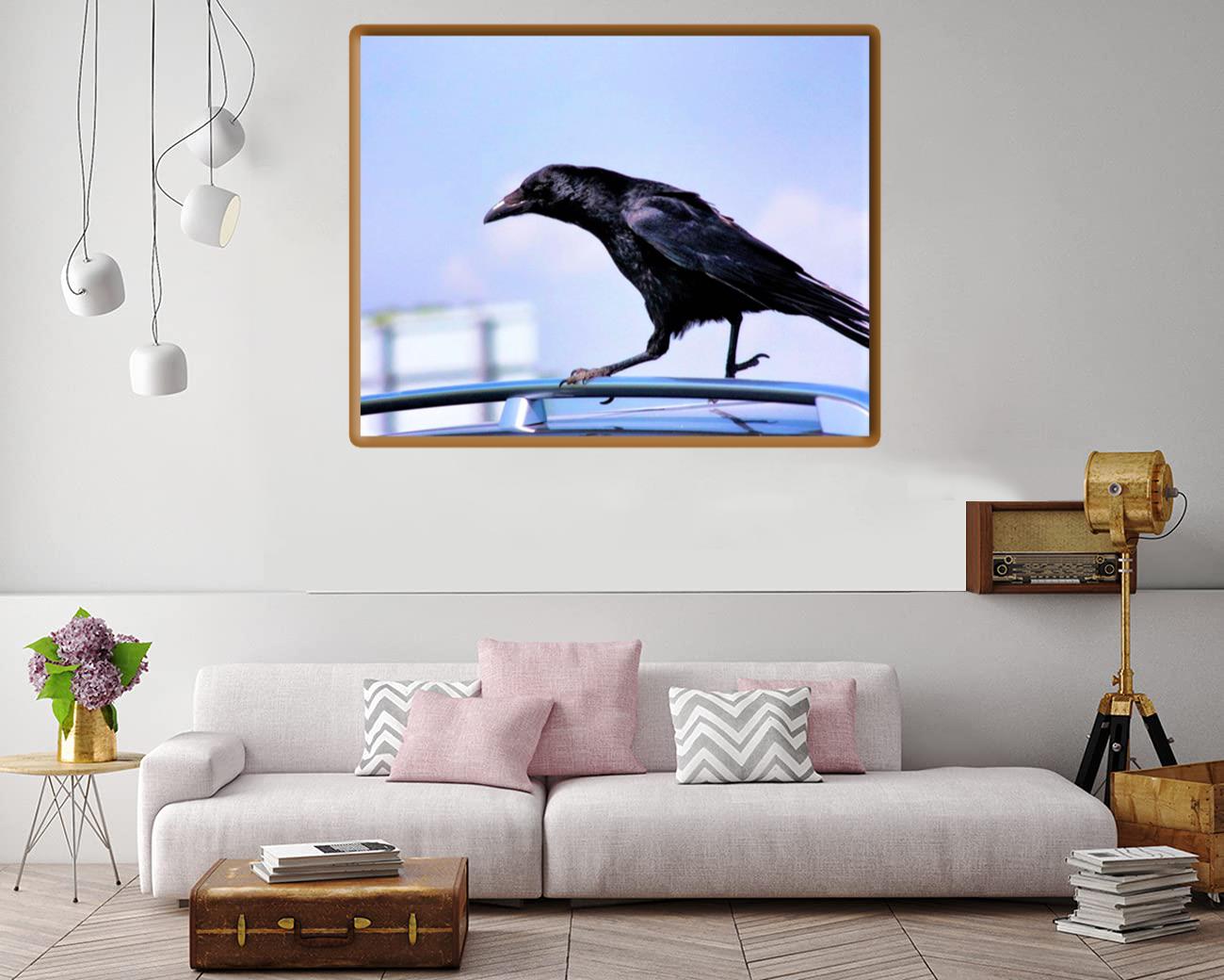 Crow Canvas Print Canvas, Poster