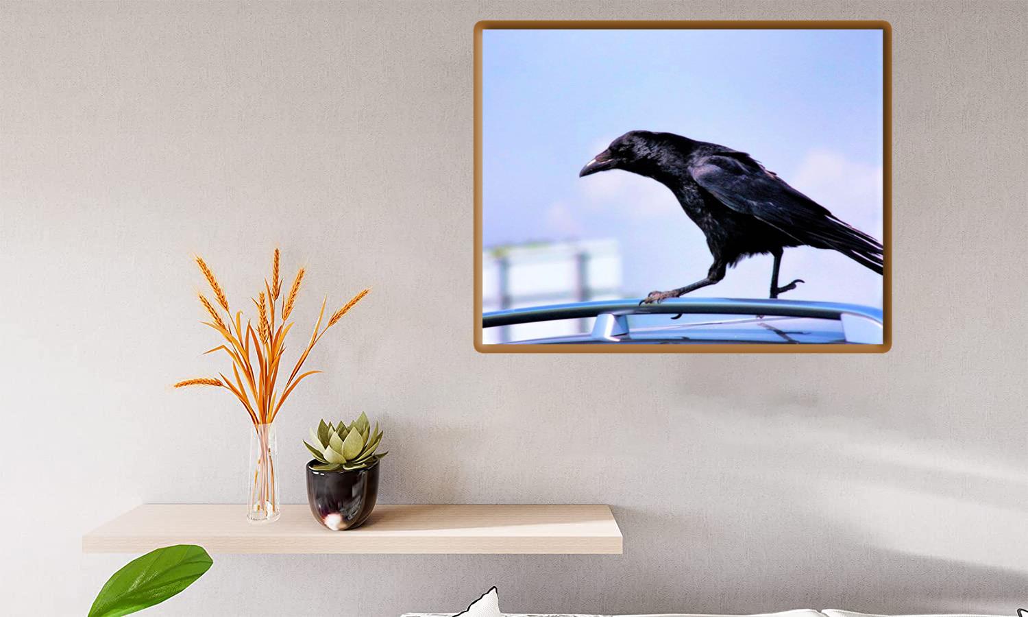 Alternative view of Crow Canvas Print Canvas, Poster
